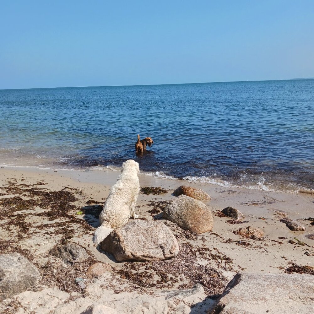 Meet your Posher, Love